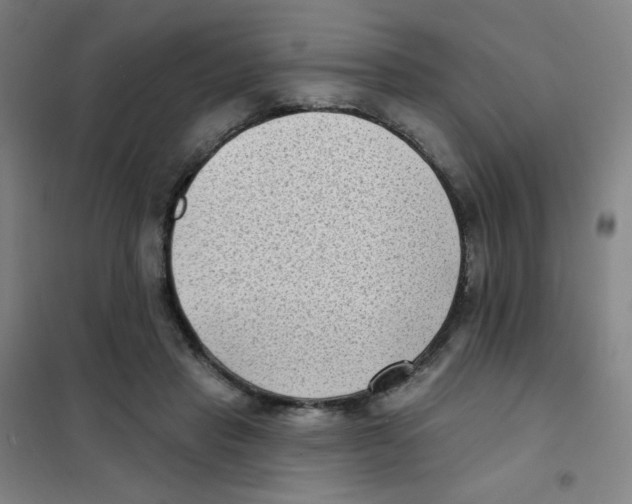 X0000101420453200808041132