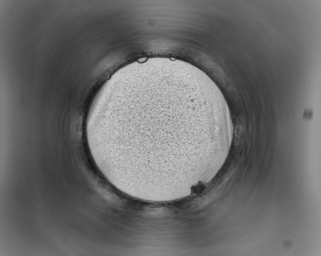X0000101420454200808041132