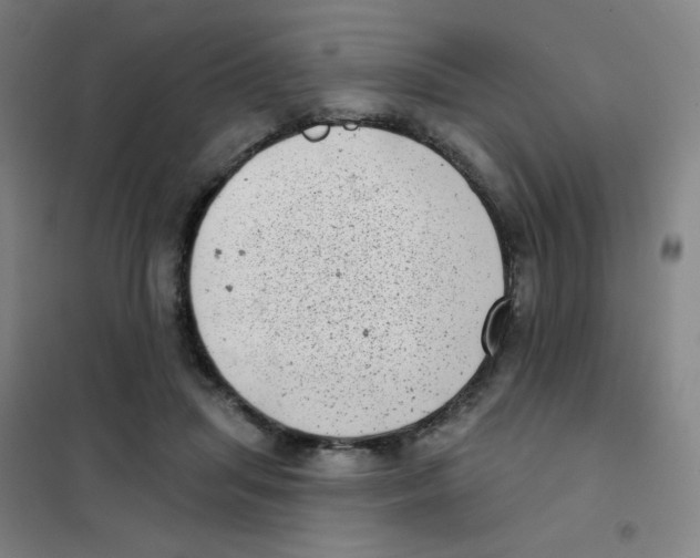 X0000101420455200808041132