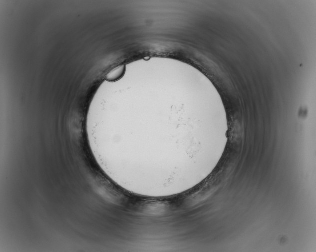 X0000101420456200808041132