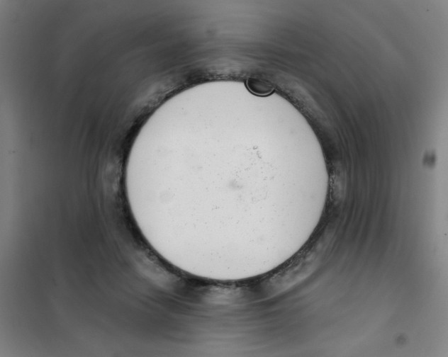 X0000101420458200808041132