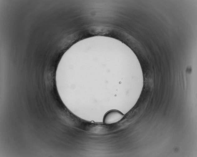 X0000101420460200808041132