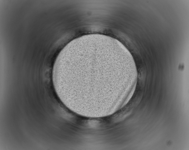 X0000101420462200808041132