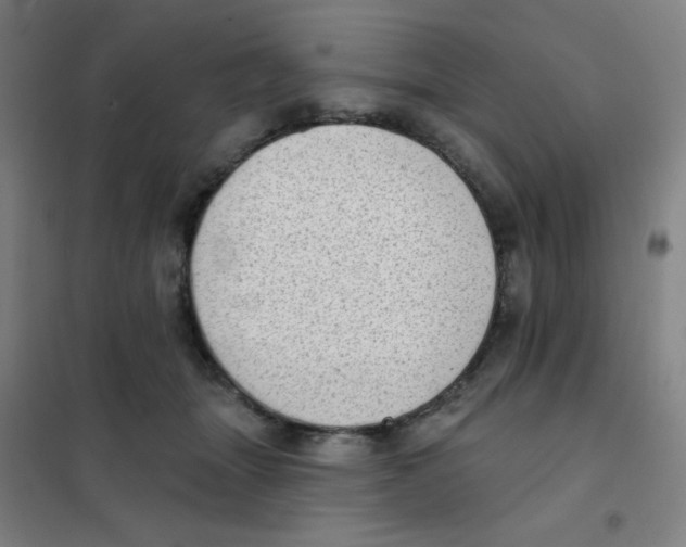 X0000101420463200808041132