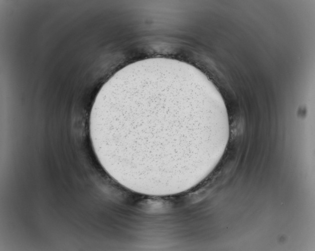 X0000101420464200808041132