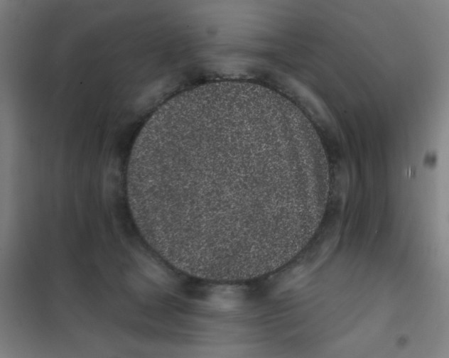 X0000101420465200808041132