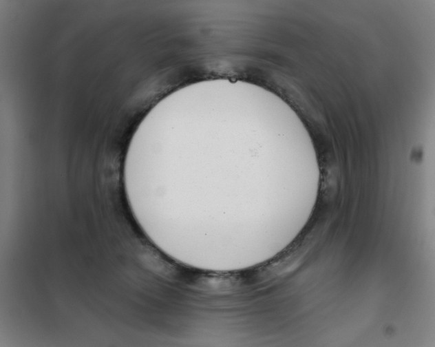 X0000101420466200808041132