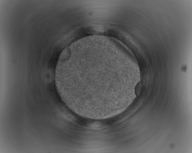 X0000101420467200808041132
