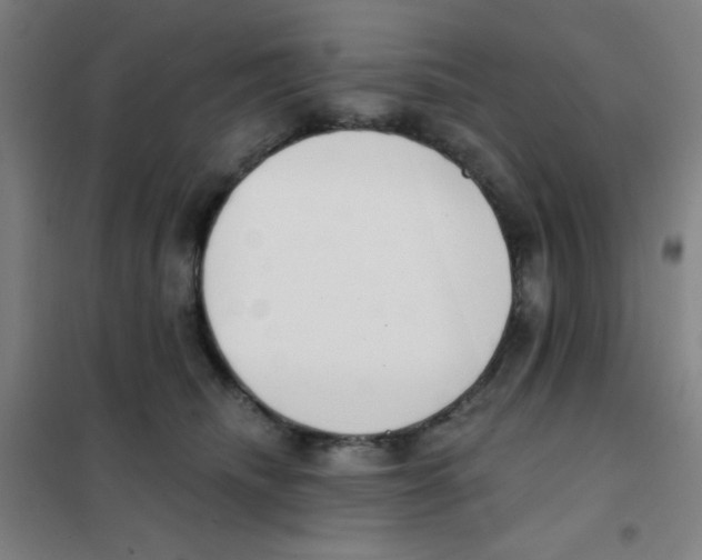 X0000101420468200808041132