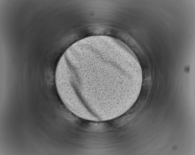 X0000101420469200808041132