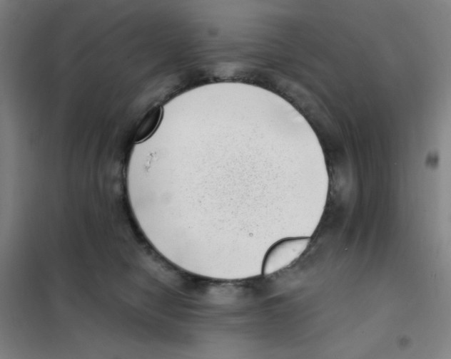X0000101420470200808041132