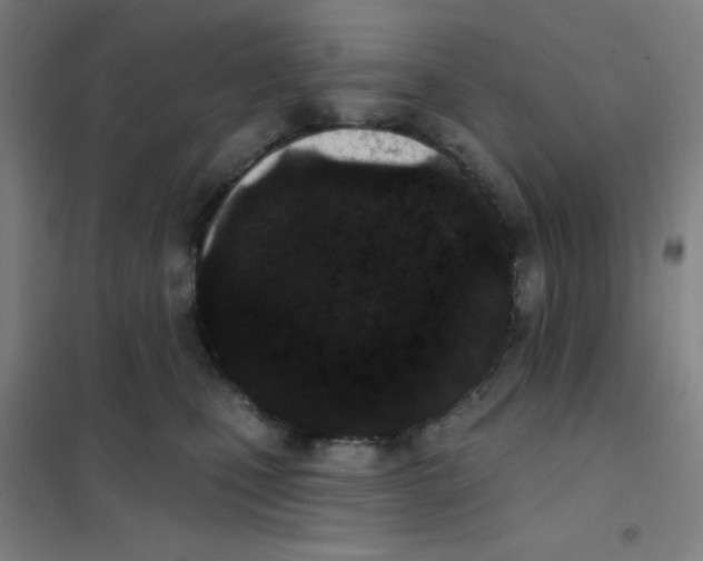X0000101420471200808041132