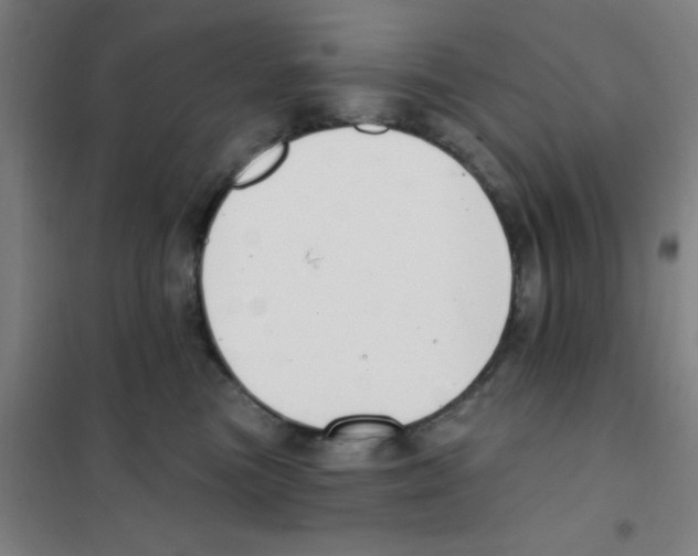 X0000101420473200808041132