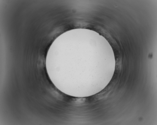 X0000101420474200808041132