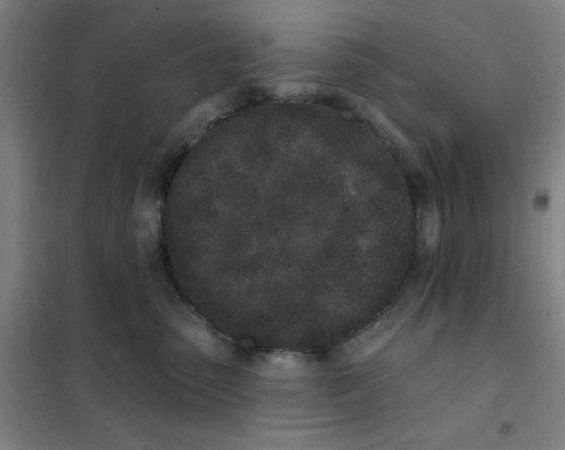 X0000101420475200808041132