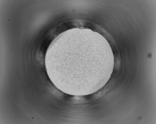X0000101420477200808041132