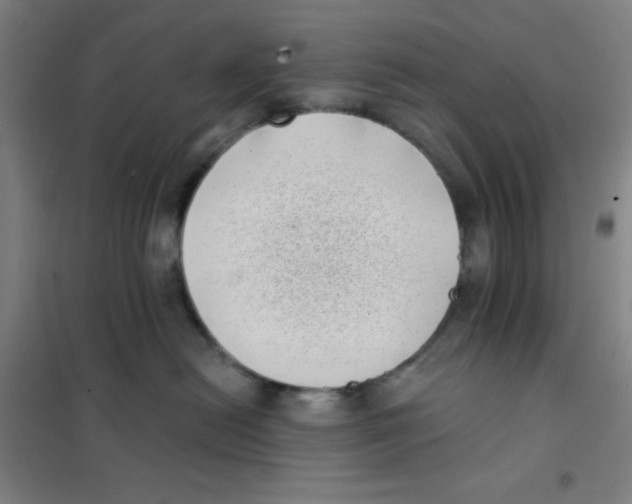 X0000101420478200808041132