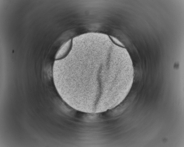 X0000101420479200808041132