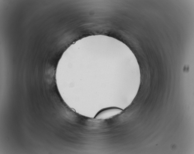 X0000101420480200808041132