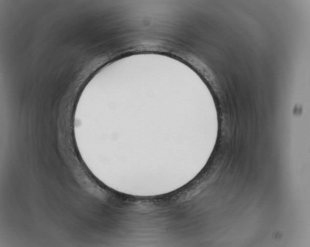 X0000101420481200808041131