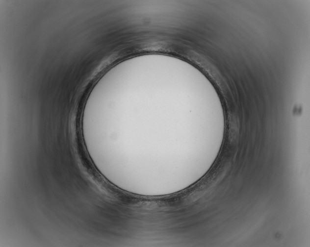 X0000101420482200808041131