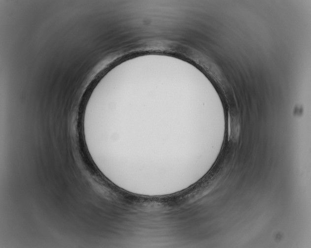 X0000101420483200808041131