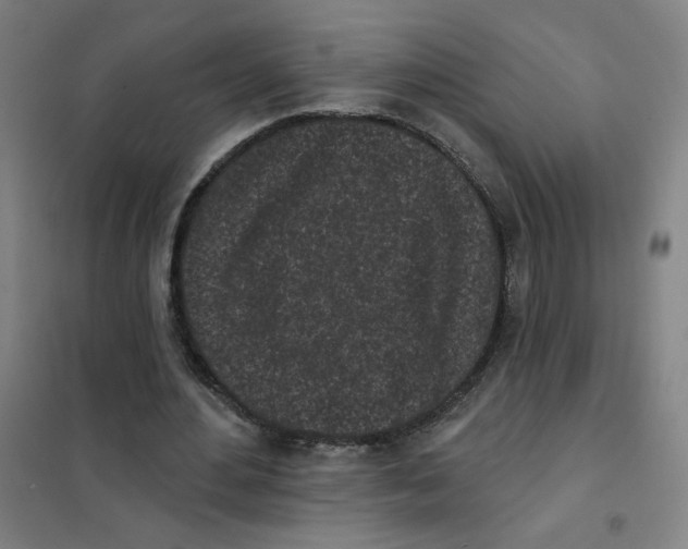 X0000101420484200808041131