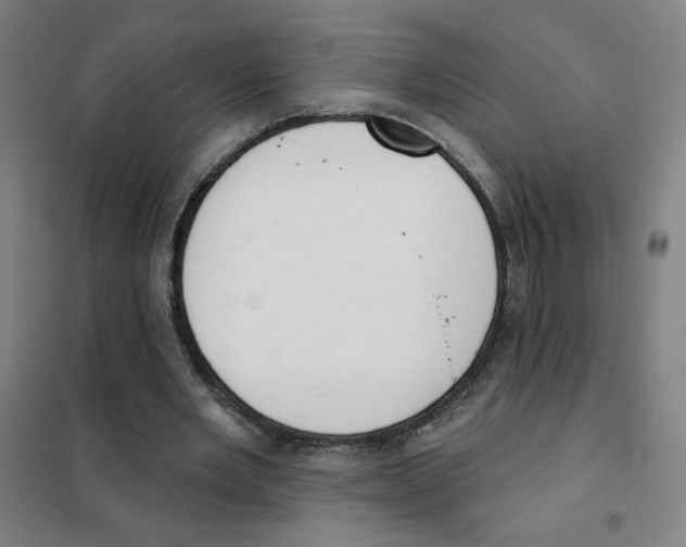 X0000101420485200808041131