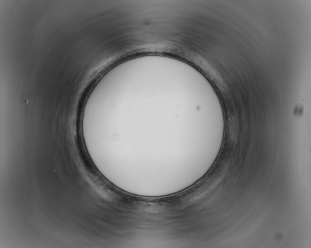 X0000101420486200808041131