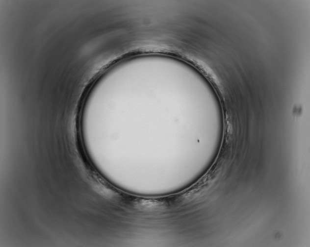 X0000101420487200808041131