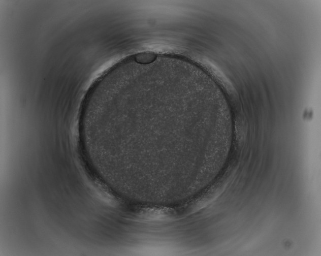 X0000101420488200808041131