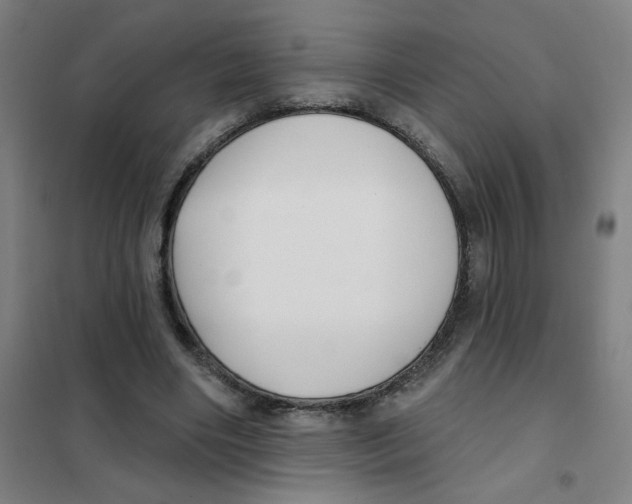 X0000101420490200808041131