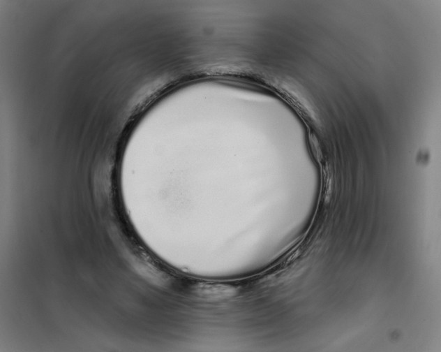 X0000101420491200808041131