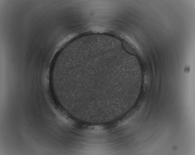 X0000101420492200808041131