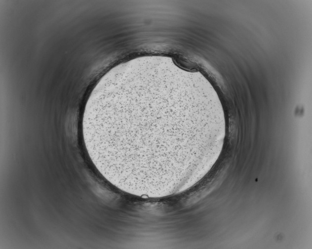 X0000101420493200808041131
