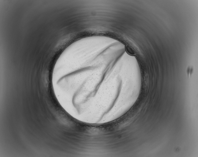 X0000101420494200808041131