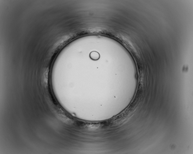 X0000101420495200808041131