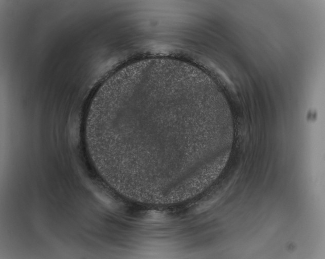 X0000101420496200808041131