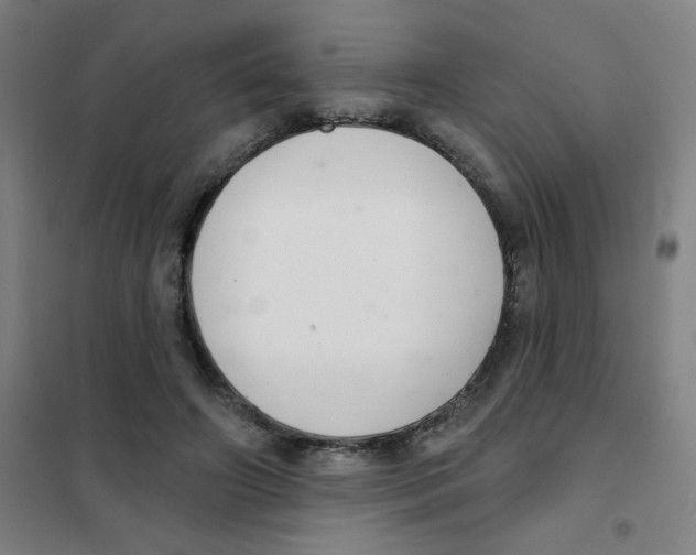 X0000101420498200808041131