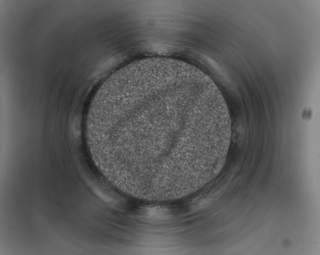 X0000101420500200808041131