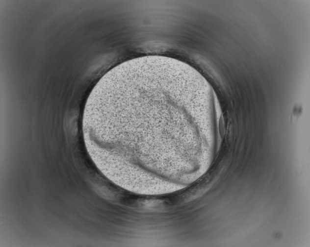 X0000101420501200808041131