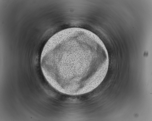 X0000101420502200808041131