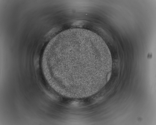 X0000101420504200808041131
