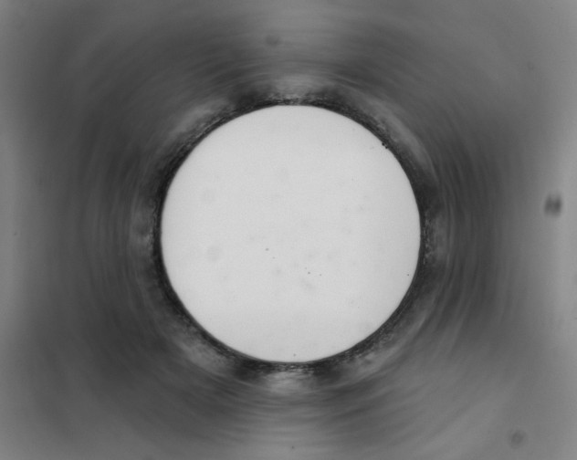 X0000101420505200808041131