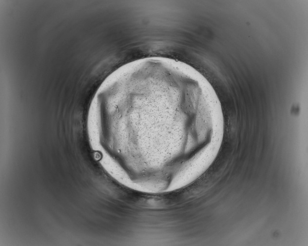 X0000101420506200808041131