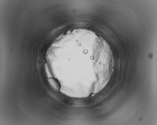 X0000101420507200808041131