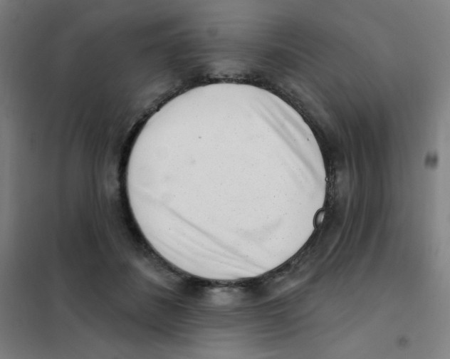 X0000101420508200808041131