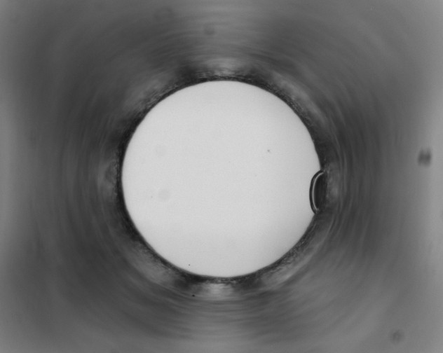 X0000101420509200808041131