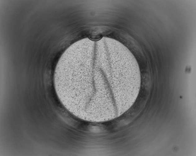 X0000101420510200808041131