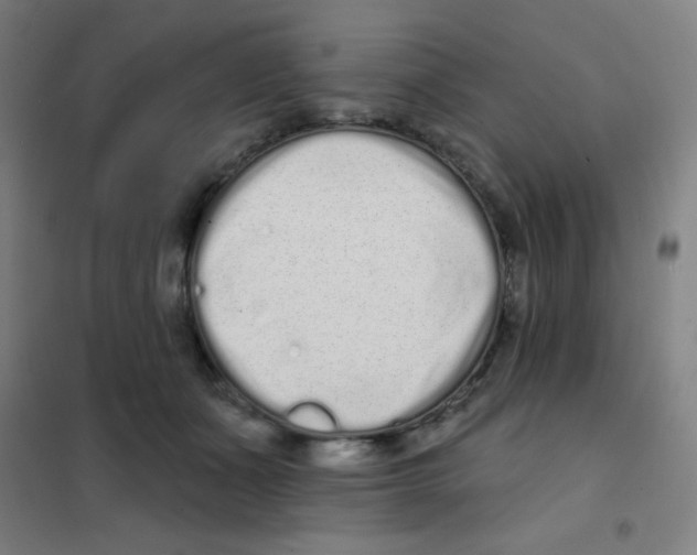 X0000101420511200808041131